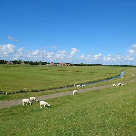 De Oostkamer; Eiland Appartement Naast Natuurgebied Boschplaat Oosterend (Terschelling) Exterior foto