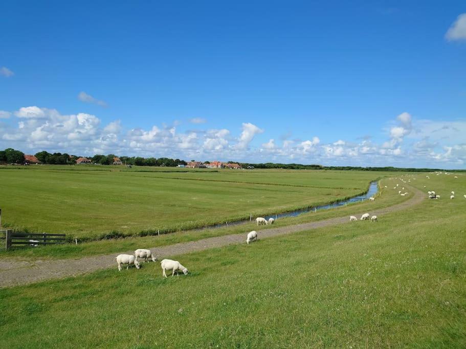 De Oostkamer; Eiland Appartement Naast Natuurgebied Boschplaat Oosterend (Terschelling) Exterior foto
